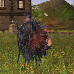 savage-black-tiger.png