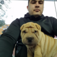 churro2019