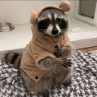 lenoxqui